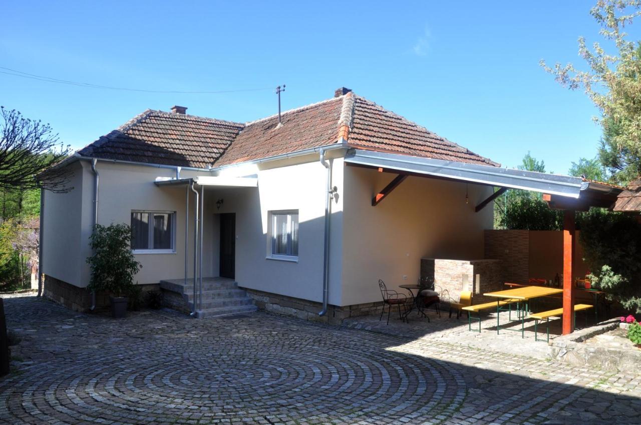 Guesthouse Djuric Negotin Zewnętrze zdjęcie
