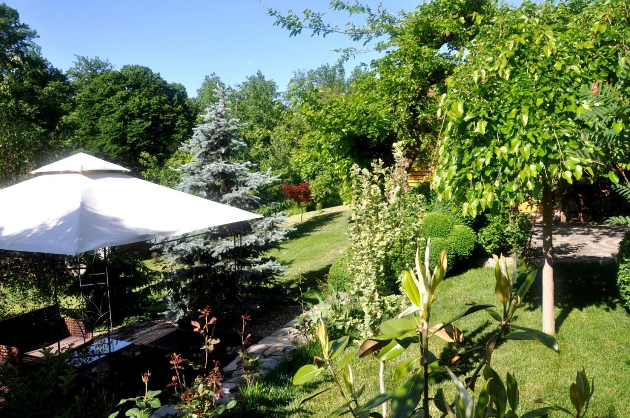 Guesthouse Djuric Negotin Zewnętrze zdjęcie