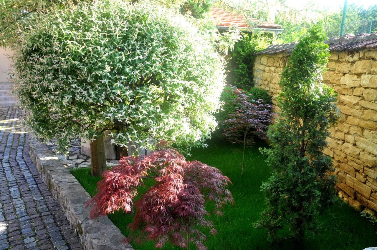 Guesthouse Djuric Negotin Zewnętrze zdjęcie
