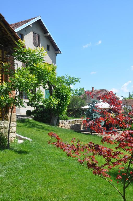 Guesthouse Djuric Negotin Zewnętrze zdjęcie
