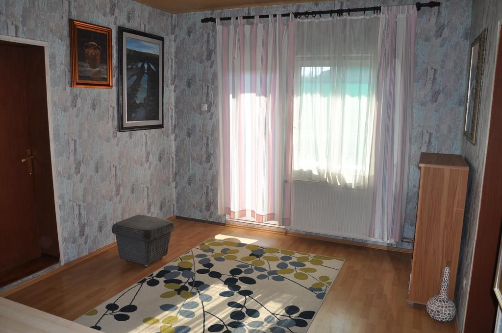 Guesthouse Djuric Negotin Zewnętrze zdjęcie