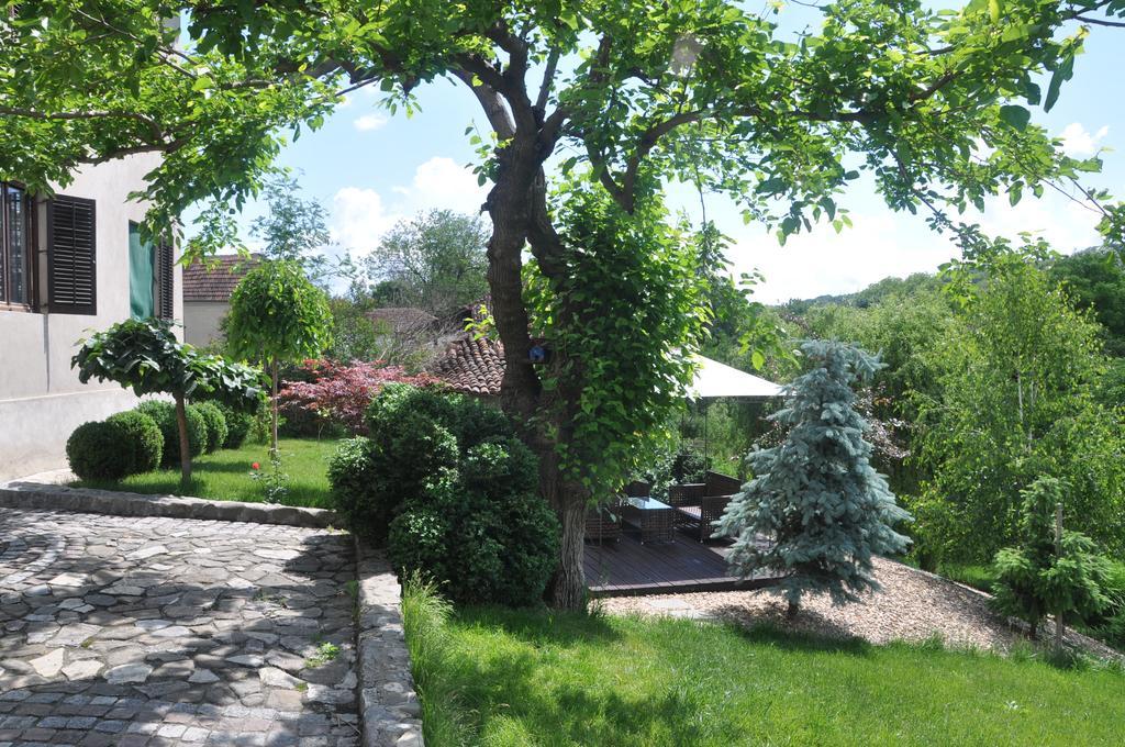 Guesthouse Djuric Negotin Zewnętrze zdjęcie