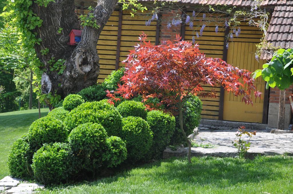 Guesthouse Djuric Negotin Zewnętrze zdjęcie