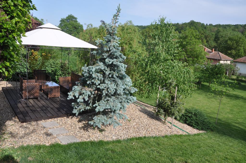 Guesthouse Djuric Negotin Zewnętrze zdjęcie