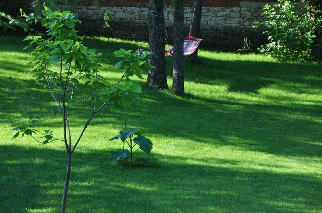 Guesthouse Djuric Negotin Zewnętrze zdjęcie