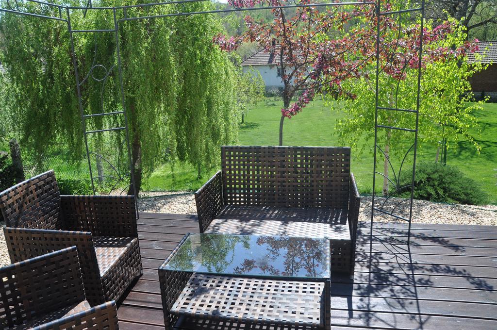 Guesthouse Djuric Negotin Zewnętrze zdjęcie