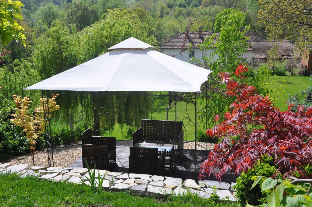 Guesthouse Djuric Negotin Zewnętrze zdjęcie