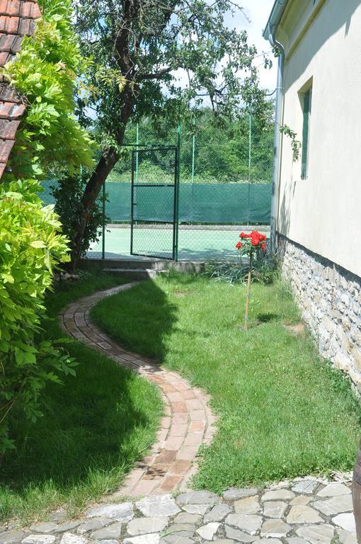 Guesthouse Djuric Negotin Zewnętrze zdjęcie