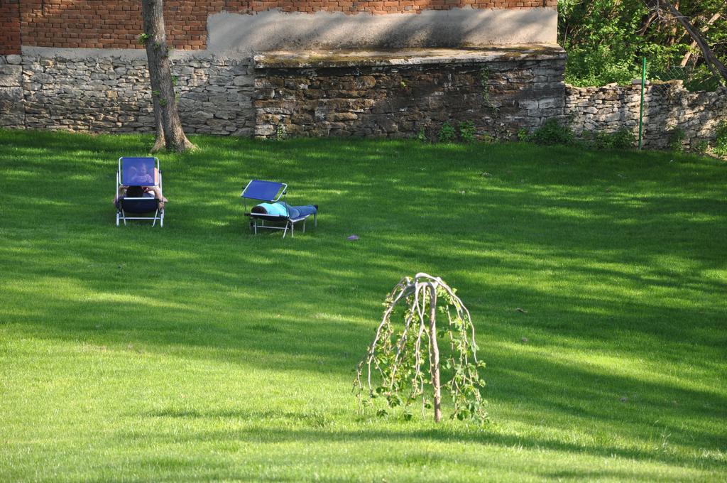Guesthouse Djuric Negotin Zewnętrze zdjęcie