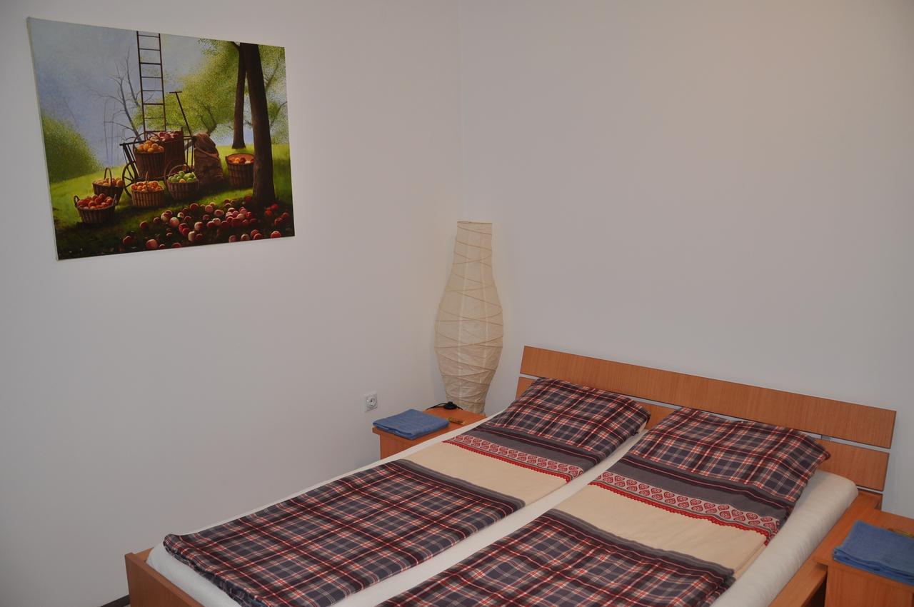 Guesthouse Djuric Negotin Zewnętrze zdjęcie